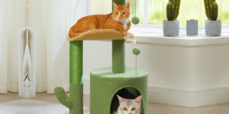 Up to 55% Off Walmart Cat Trees | Cactus Cat Tree Only $24.99