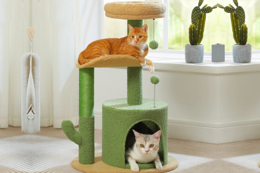 Up to 55% Off Walmart Cat Trees | Cactus Cat Tree Only $24.99