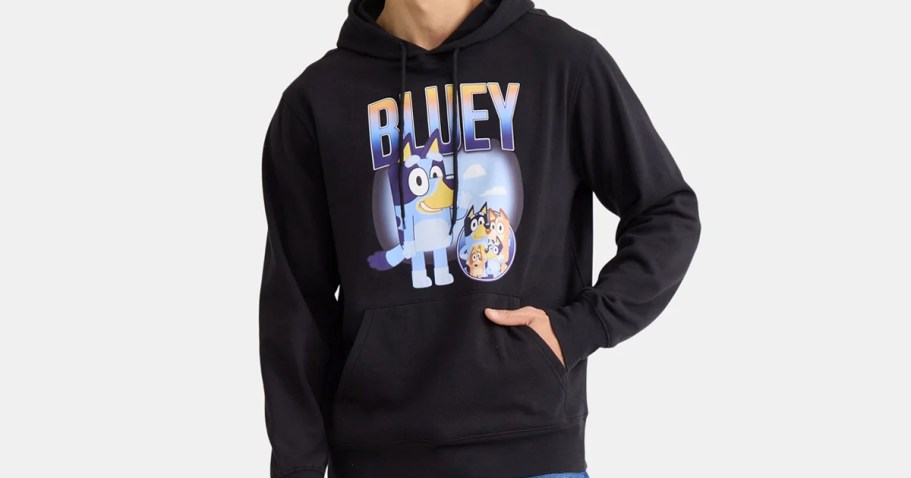 Men’s Character Hoodies from $8.92 on Walmart.com (Reg. $29) | Bluey, Deadpool, Spider-Man