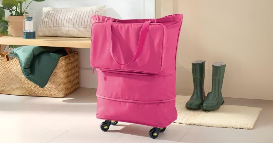 Brightroom Collapsible Rolling Tote in entryway 