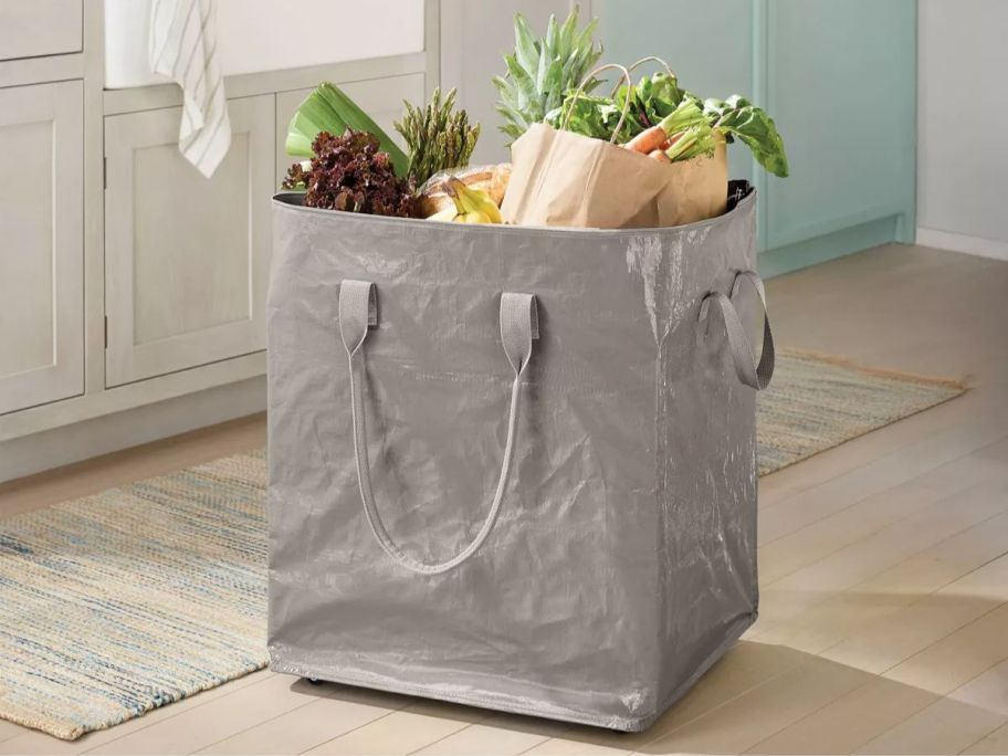 gray Brightroom Storage Bag full of groceries