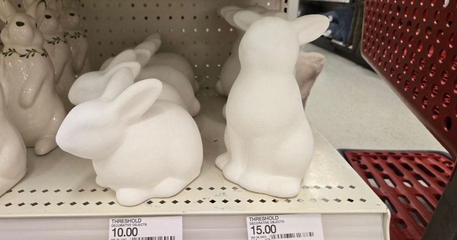 two bunnies on a shelf at the store