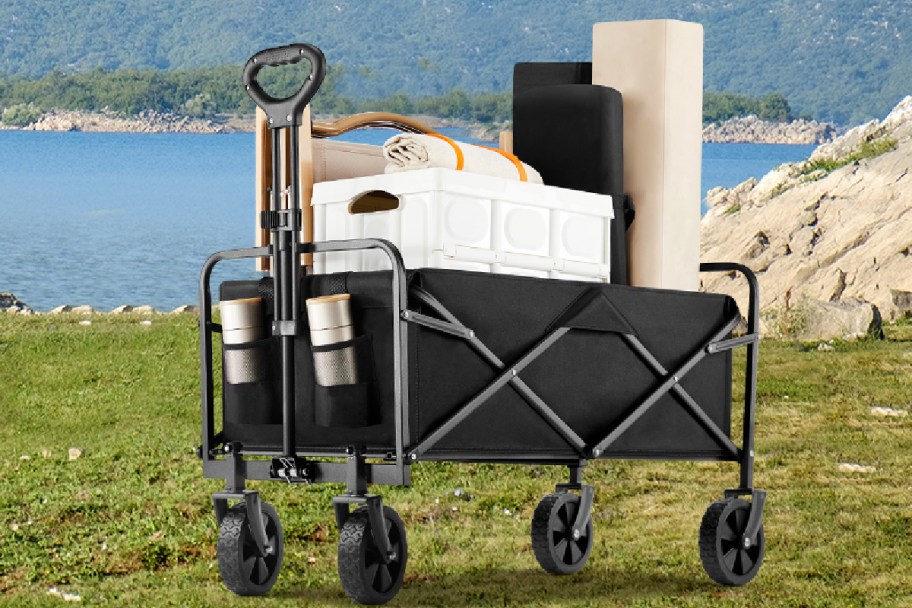 Collapsible Wagon in Black displayed at a forest