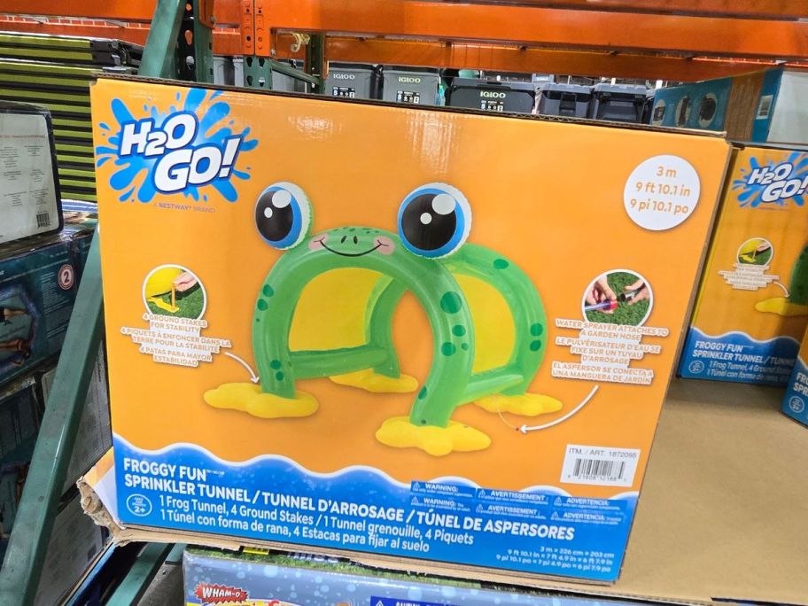 H2OGO! Froggy Fun Inflatable Sprinkler Tunnel box in store