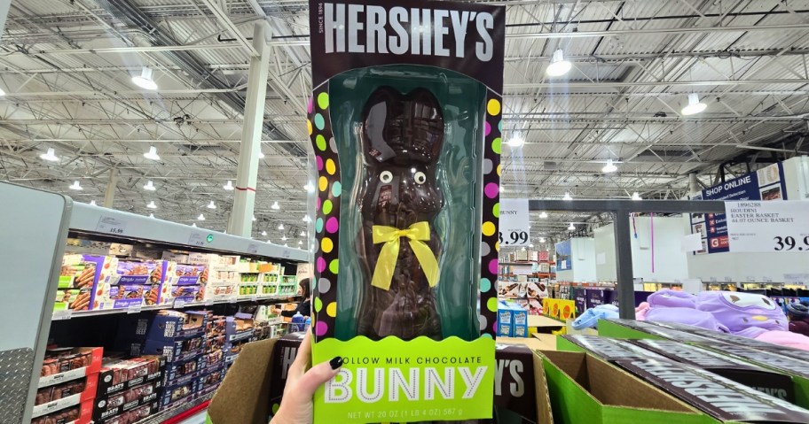 hershey's hollow milk chocolate bunny in store