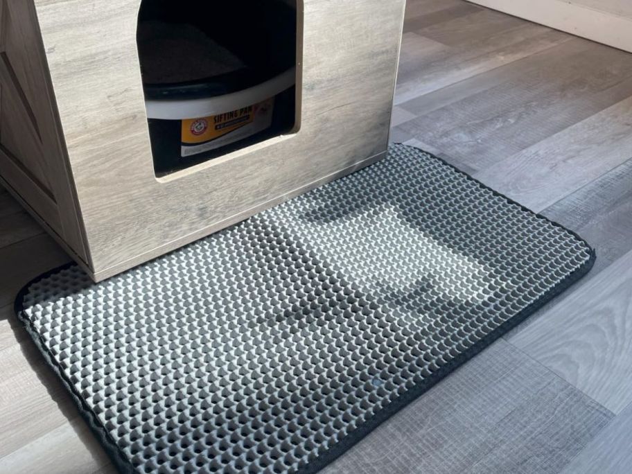 A cat litter mat in front of a litter box