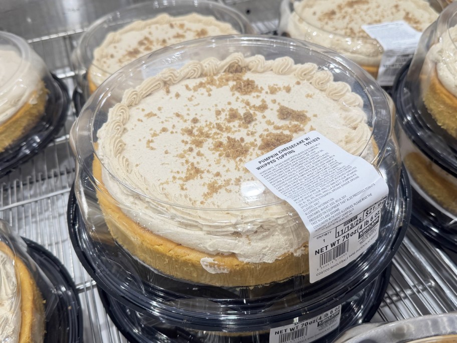 large Pumpkin Cheesecakes on display in store