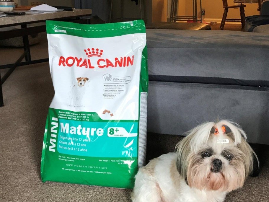 WOW! Up to 75% Off Royal Canin Dog Food Bags on Amazon