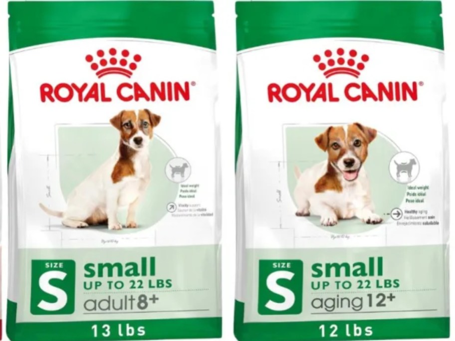 stock image of royal canin dog food for small dogs in 2 sizes