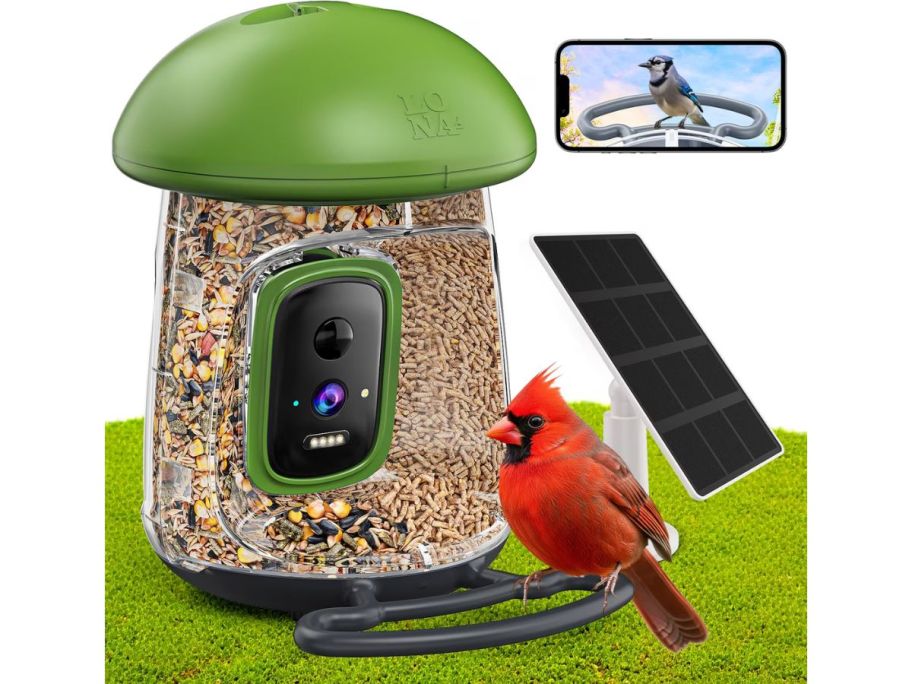 A Smart Bird Feeder with a cardinal on it