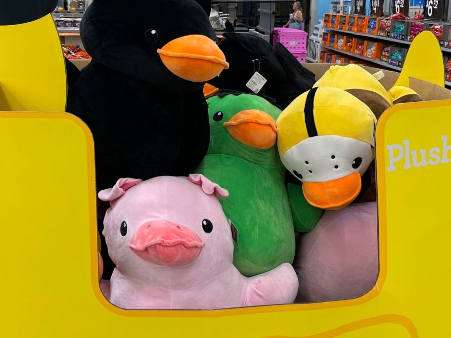 Way to Celebrate Quackerz Plush in a big box