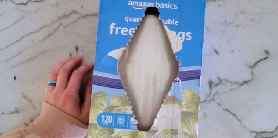 Amazon Basics Quart Freezer Bags 120-Count Only $5 Shipped