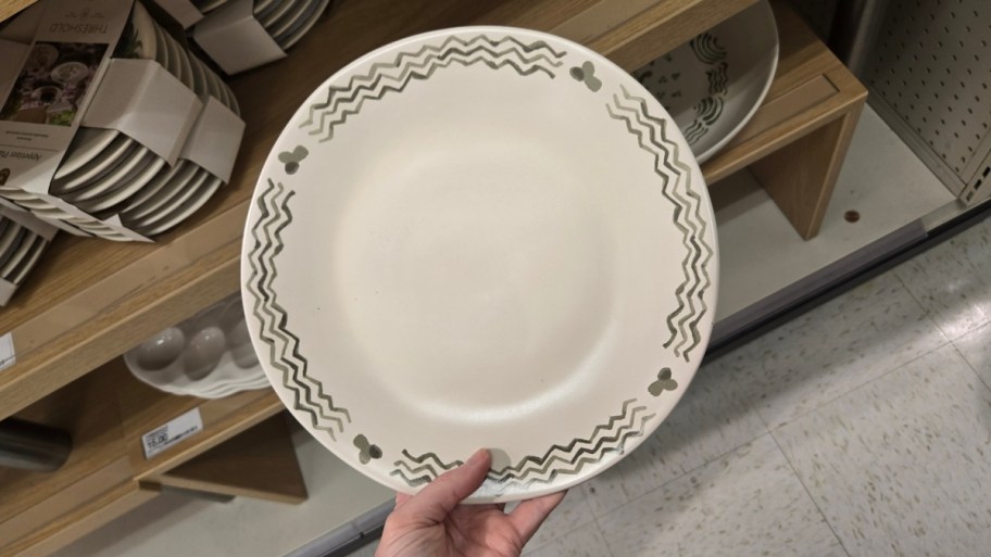 womans hand holding a hand painted plate