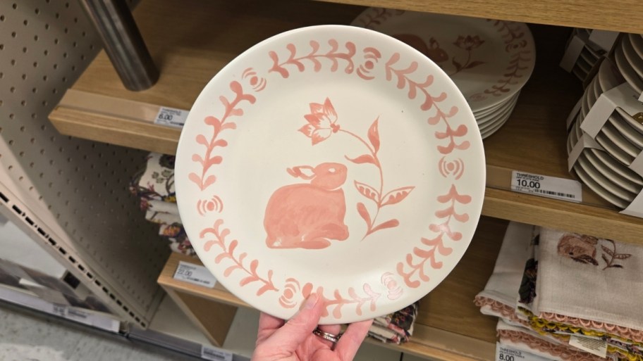 womans hand holding a hand painted plate