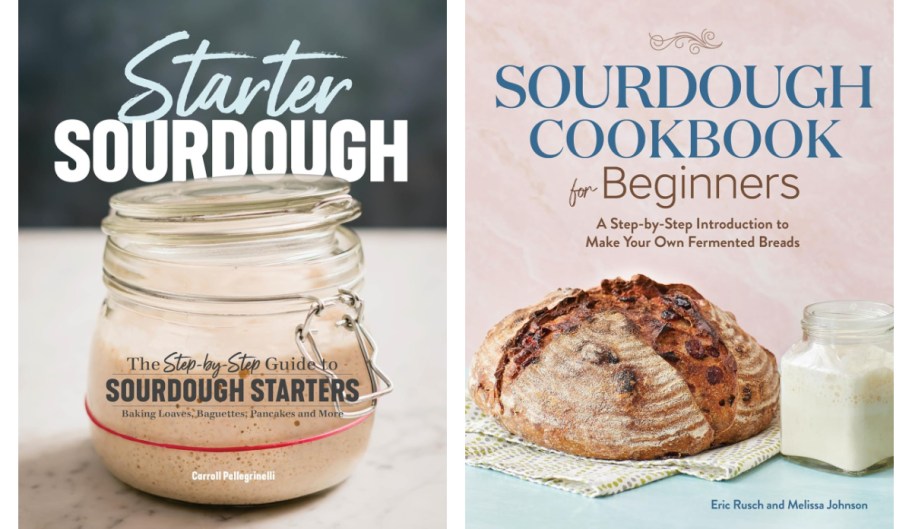 sourdough cookbooks