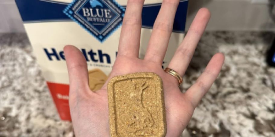 Blue Buffalo Health Bars Dog Treats 3.5lb Box Only $9 Shipped on Amazon (Reg. $21)
