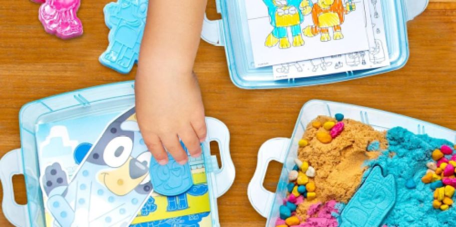 Bluey Stackable Sensory Case Just $14 on Amazon (Reg. $22)