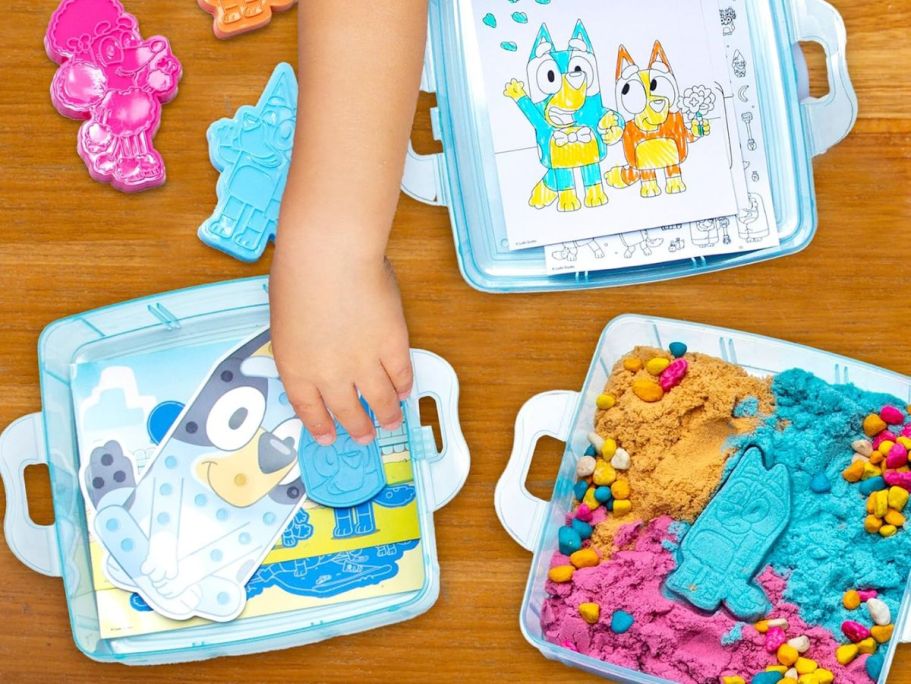 Bluey Stackable Sensory Case Just $14 on Amazon (Reg. $22)