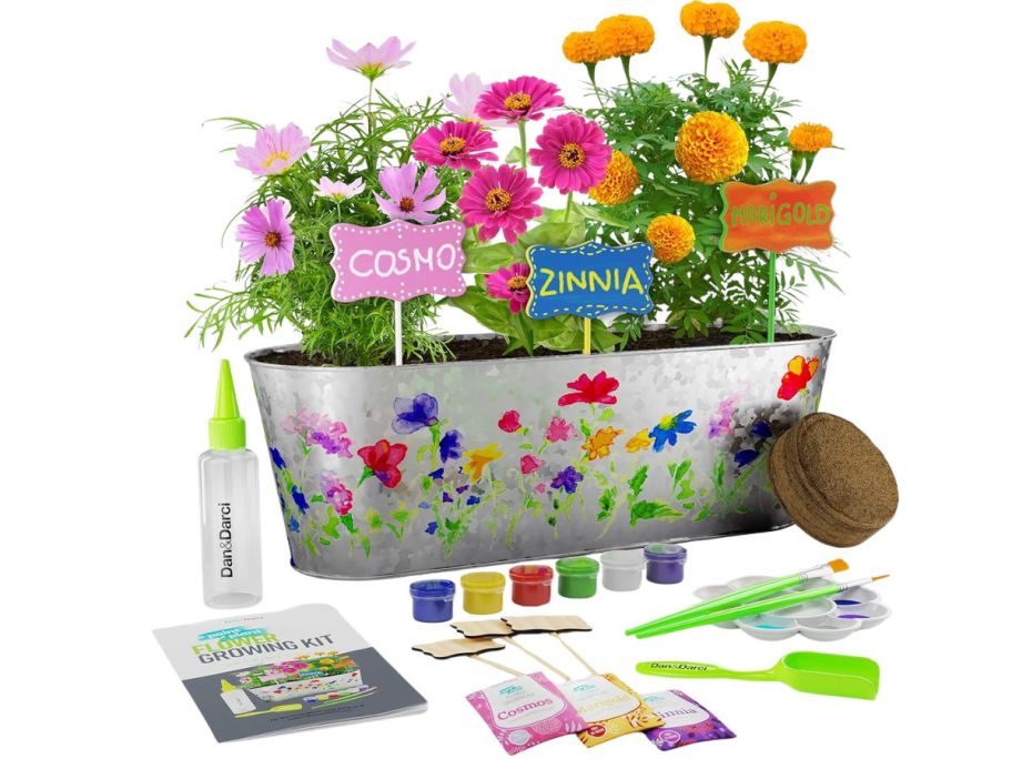 Dan&Darci Kids' Paint & Plant Flower Gardening Growing Set