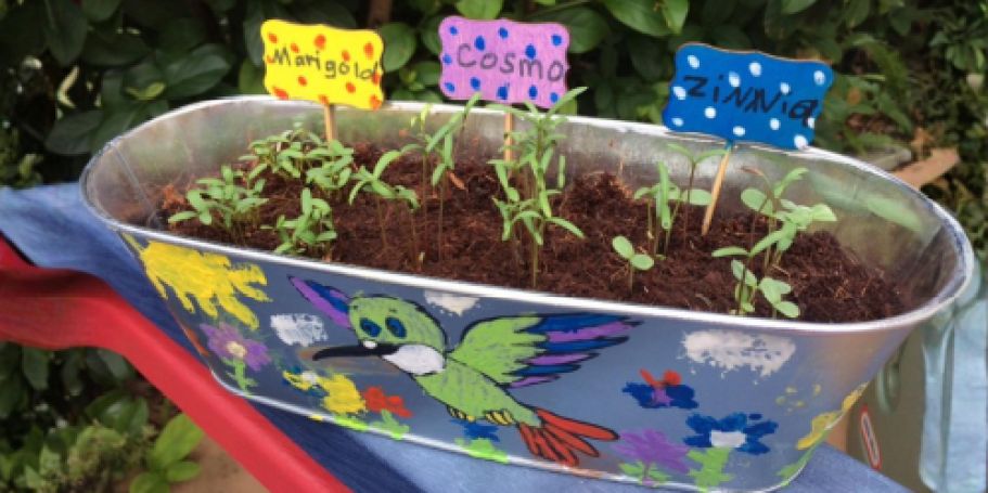 Kids Gardening Set Only $14.99 Shipped for Amazon Prime Members