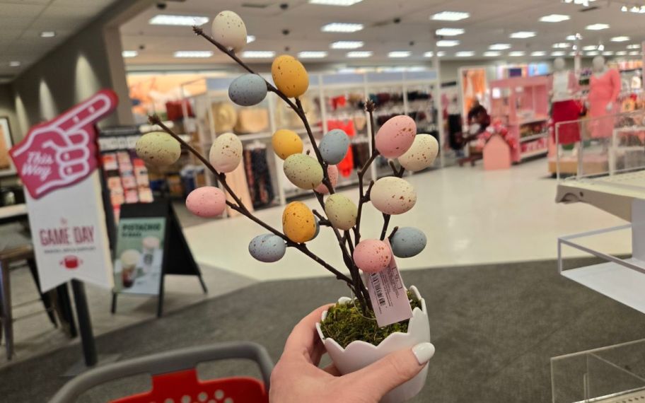 hand holding Decorative egg plant