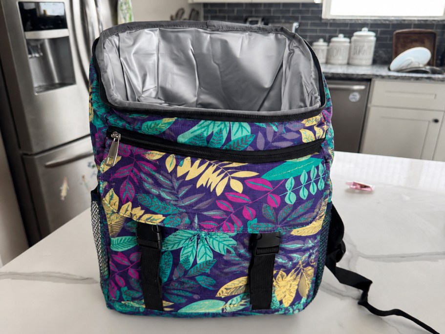 Cooler Backpack Only $15.89 on Amazon (Reg. $30) | Holds 30 Cans