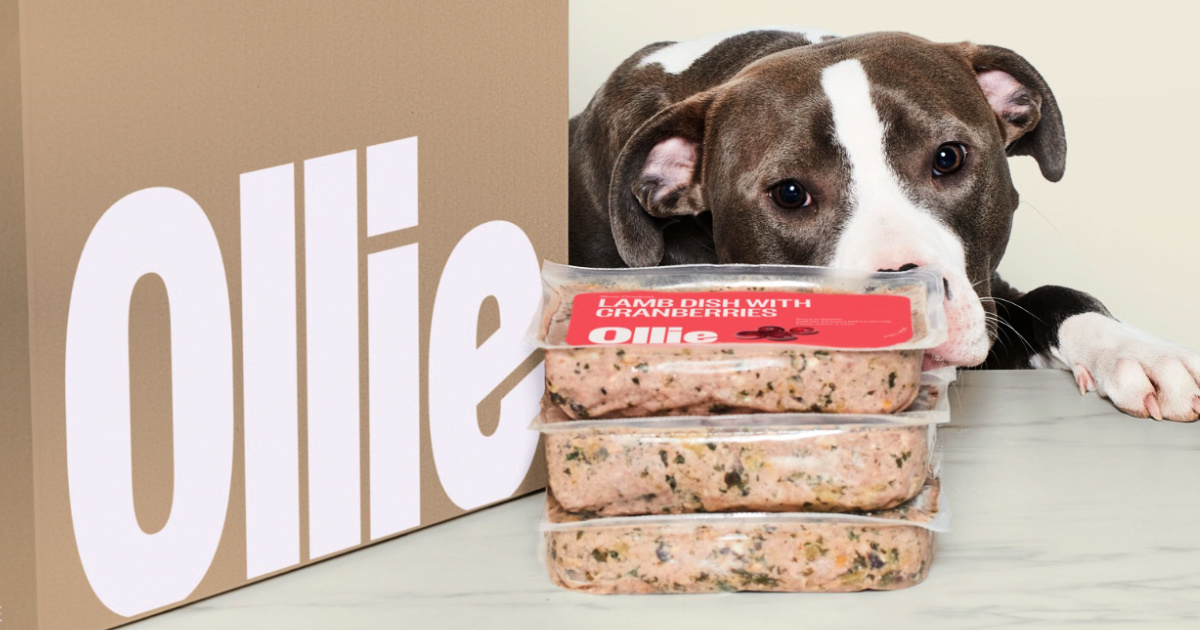 60% Off Ollie Fresh Dog Food + FREE Salmon Jerky (Just $2 Per Day!)