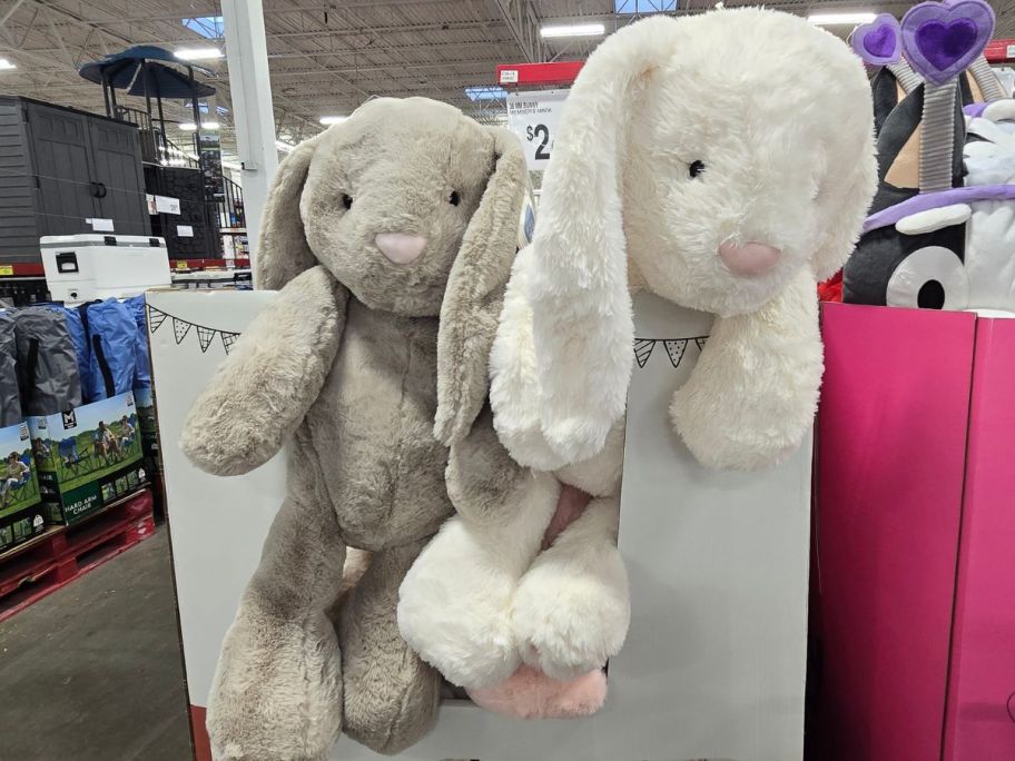 Member's Mark Giant Bunny Plush