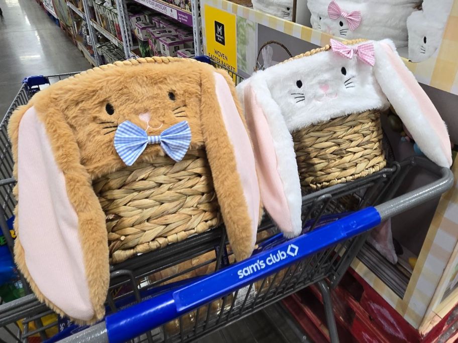 Member's mark Bunny Baskets for Easter