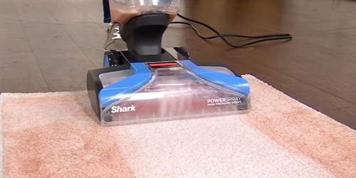 Shark Carpet Cleaner from $114.98 Shipped (Regularly $230)