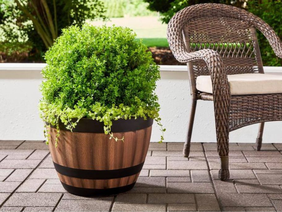 A Vigoro Resin Barrel Planter with a plant in it