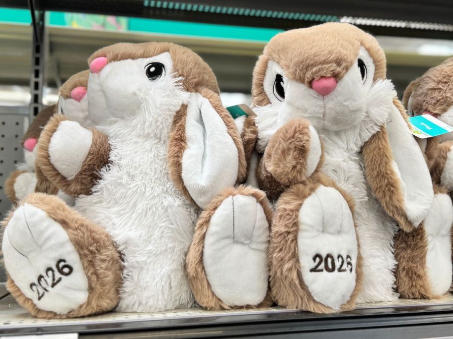 Walmart Easter Bunny