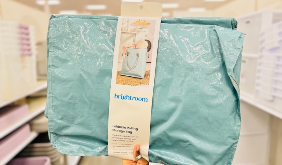 blue brightroom collapsible bag in hand