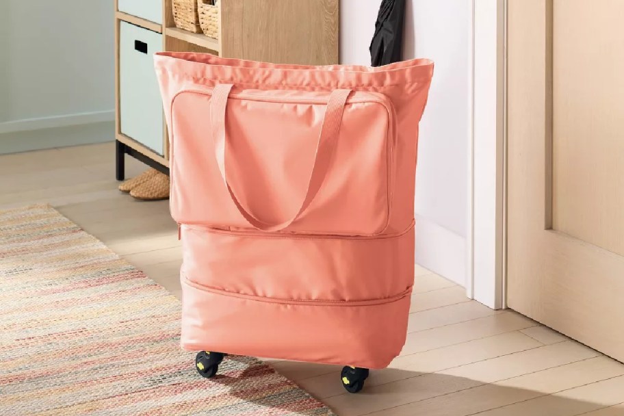pink brightroom collapsible rolling bag