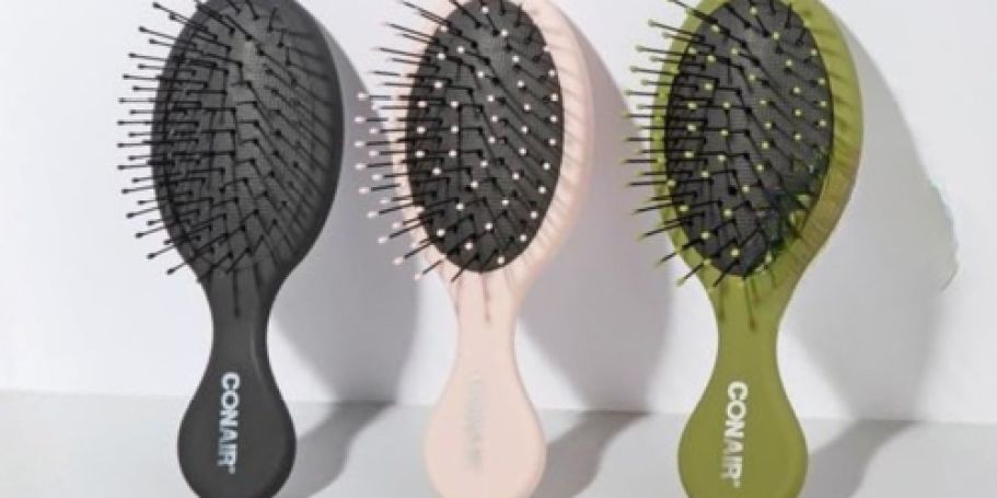 Conair Detangling Mini Hair Brush 3-Pack Only $6 Amazon (Reg. $11)
