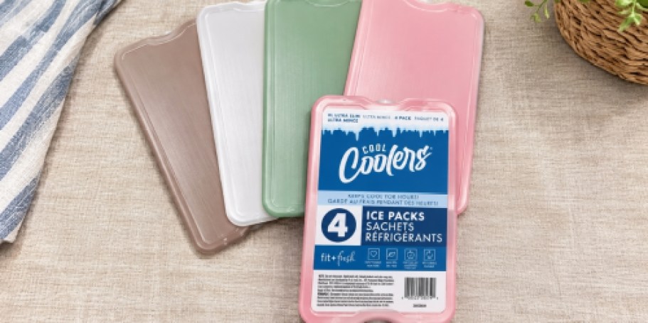 Fit & Fresh Ice Packs 4-Count Just $6.97 on Amazon | Perfect for Lunch Boxes