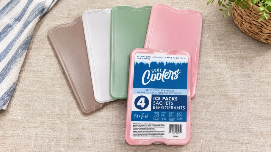 Fit & Fresh Ice Packs 4-Count Just $6.97 on Amazon (Reg. $13) | Perfect for Lunch Boxes