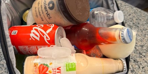 Cooler Backpack Only $12.99 on Amazon (Reg. $24) | Holds 30 Cans!