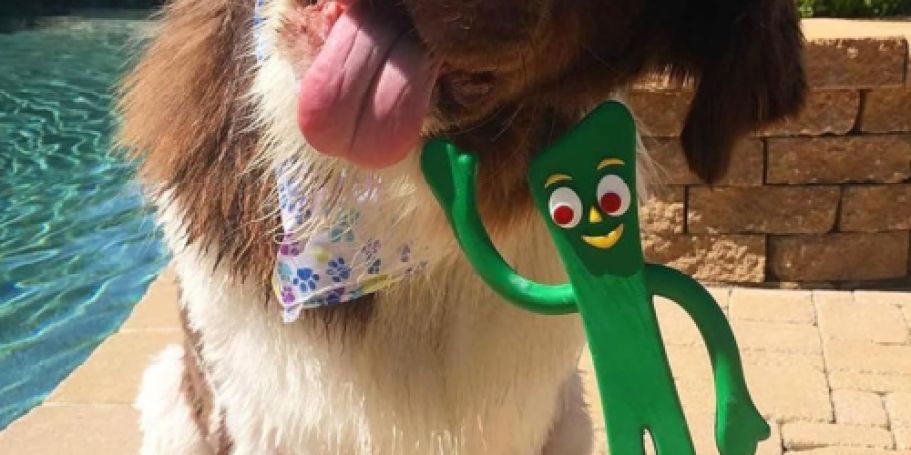 Gumby Dog Toy Just $2.99 Shipped for Prime Members (Reg. $5) | Over 43K 5-Star Ratings