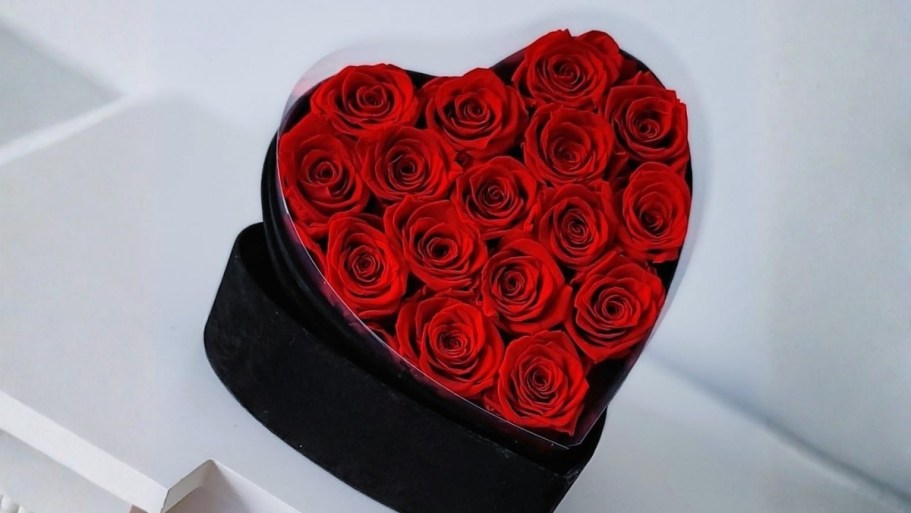 Up to 50% Off Real Forever Roses on Amazon (Lasts for Years!)