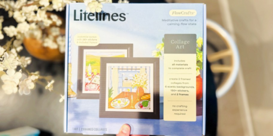 Lifelines Craft Kits Only $9.99 on Amazon (Reg. $25) | Lowest Price Ever!
