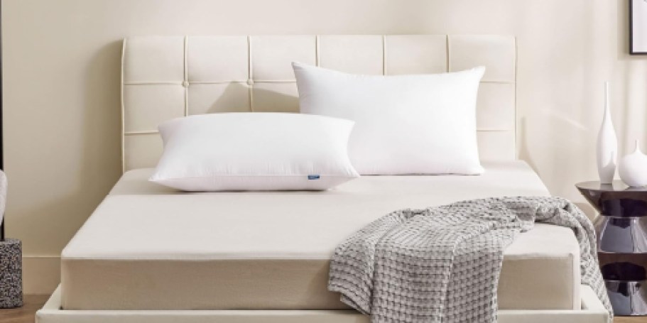 Queen Hotel Pillow 2-Pack Just $15.39 Shipped w/ Amazon Prime (Reg. $47)