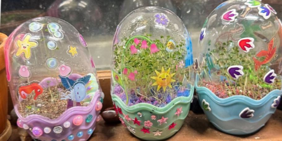 Magic Mini Grow Gardens from $5.49 on Amazon (Reg. $11) | Great Screen-Free Activity