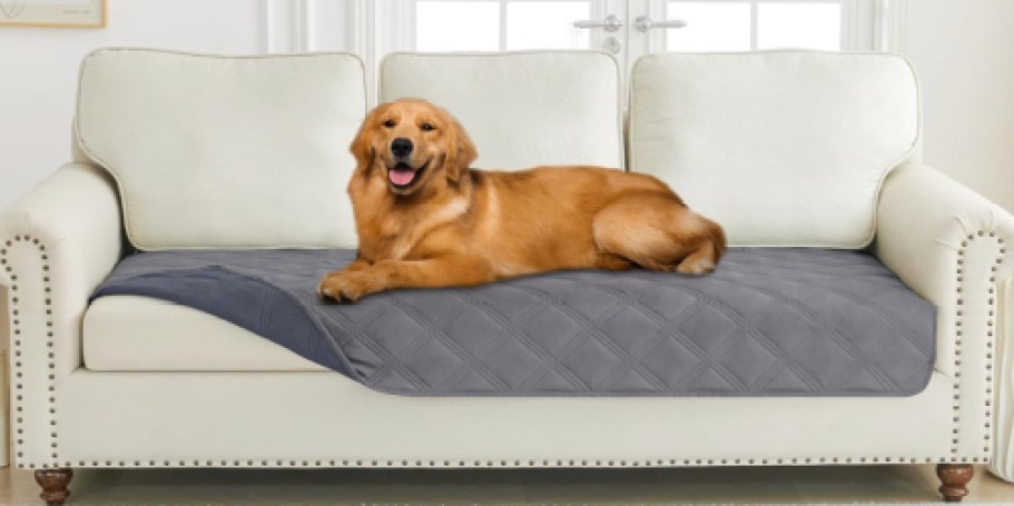 Waterproof Dog Blanket Only $6.99 on Amazon