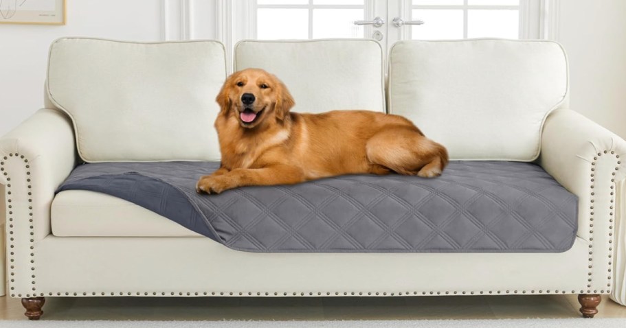 Waterproof Dog Blanket Only $6.99 on Amazon