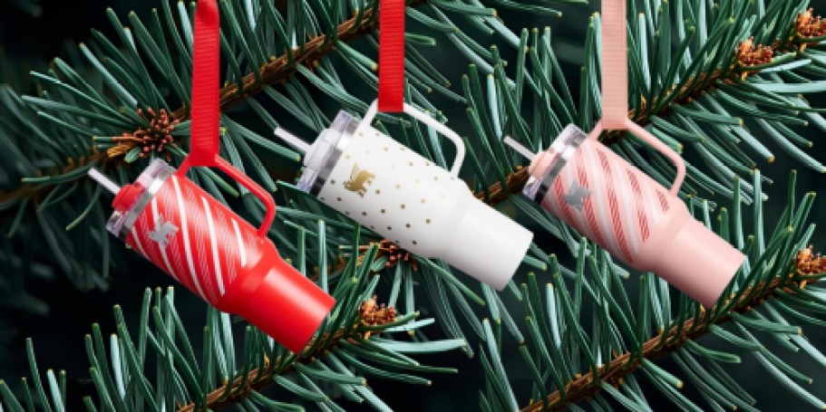 We Found the Perfect Stocking Stuffer for Stanley Fans!