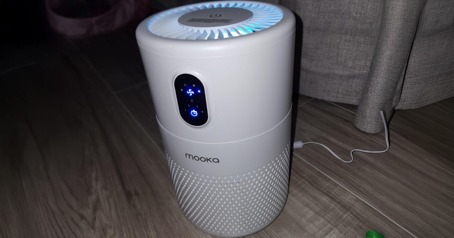 50% Off HEPA Air Purifier on Amazon | Keeps Small Spaces Fresh!