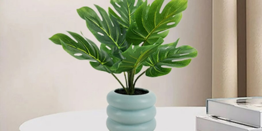 Faux Plants in Bubble Planters Only $7.64 on Walmart.com (Reg. $13)