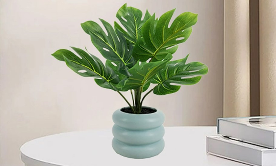 faux monstera plant in bubble planter on a table