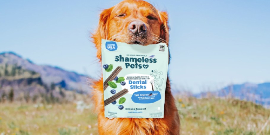 Shameless Pets Cat & Dog Treats from $1.42 Shipped on Amazon